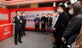 爆料王宁新闻报道,揭秘娱乐圈不为人知的幕后故事